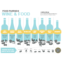 Wine and Food Pairing Infographic