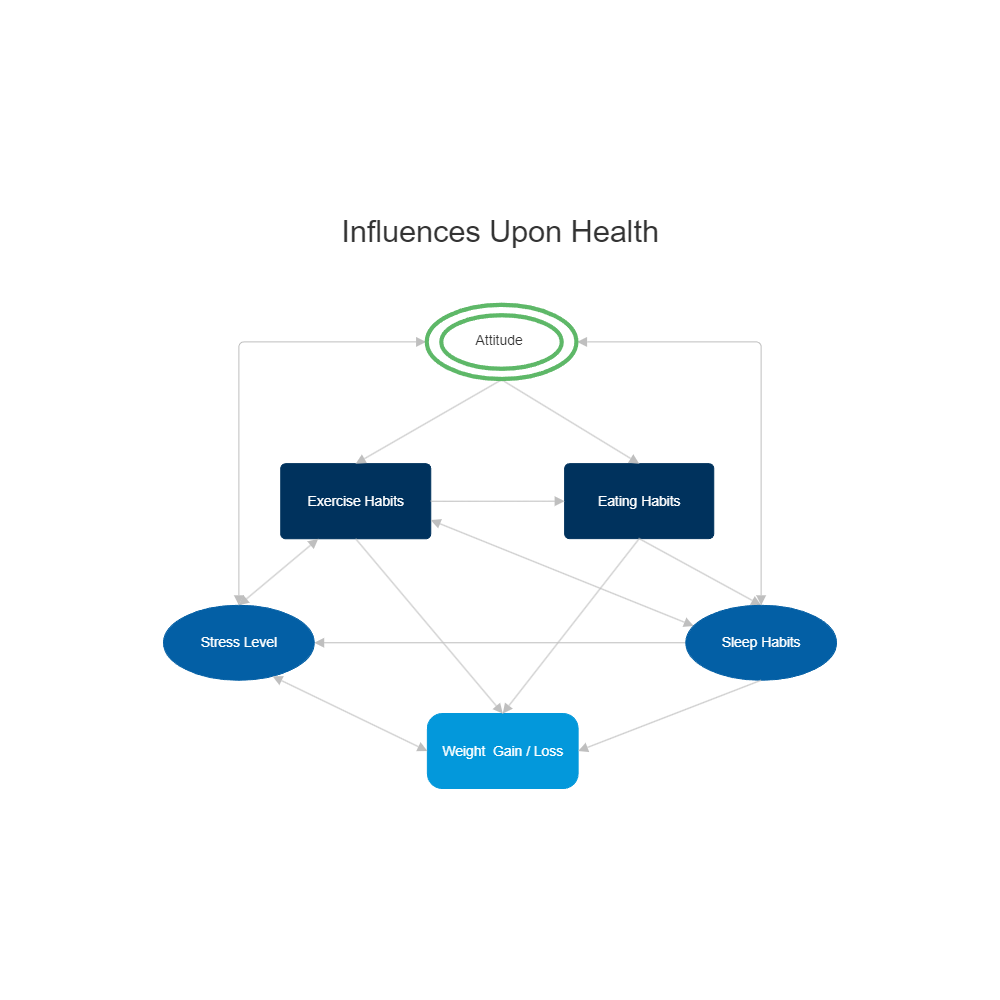 Example Image: Health Influence Diagram