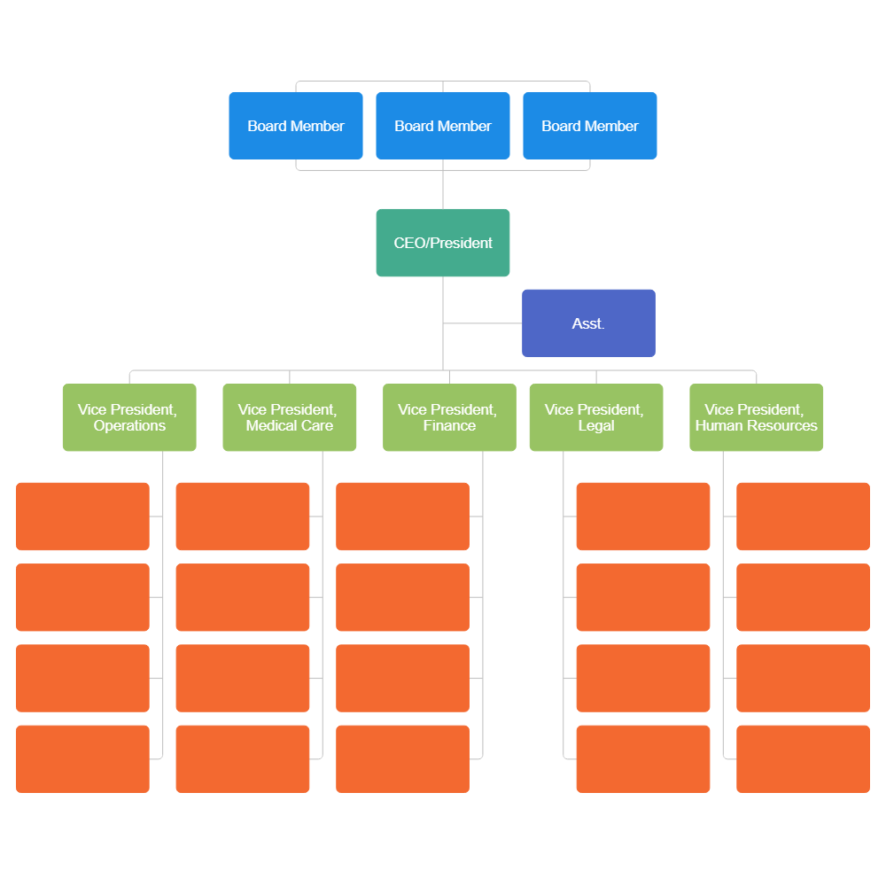 Example Image: Hospital Organizational Chart