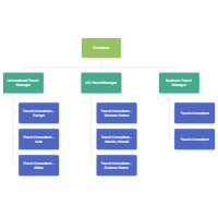 Travel Agency Organization Chart