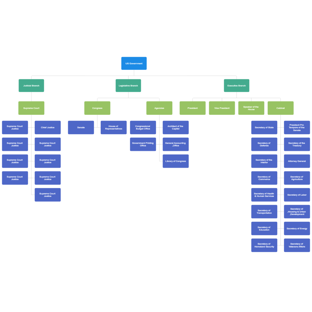 Example Image: US Government Org Chart