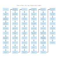 General Duties of a Legal Assistant in Litigation