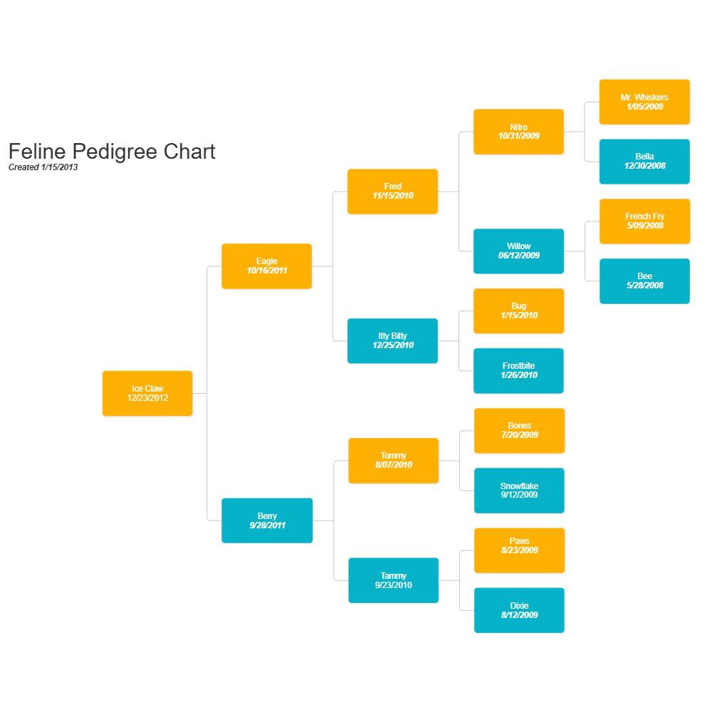 Example Image: Feline Pedigree Chart