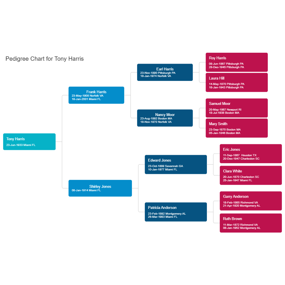 Example Image: Pedigree Chart Example